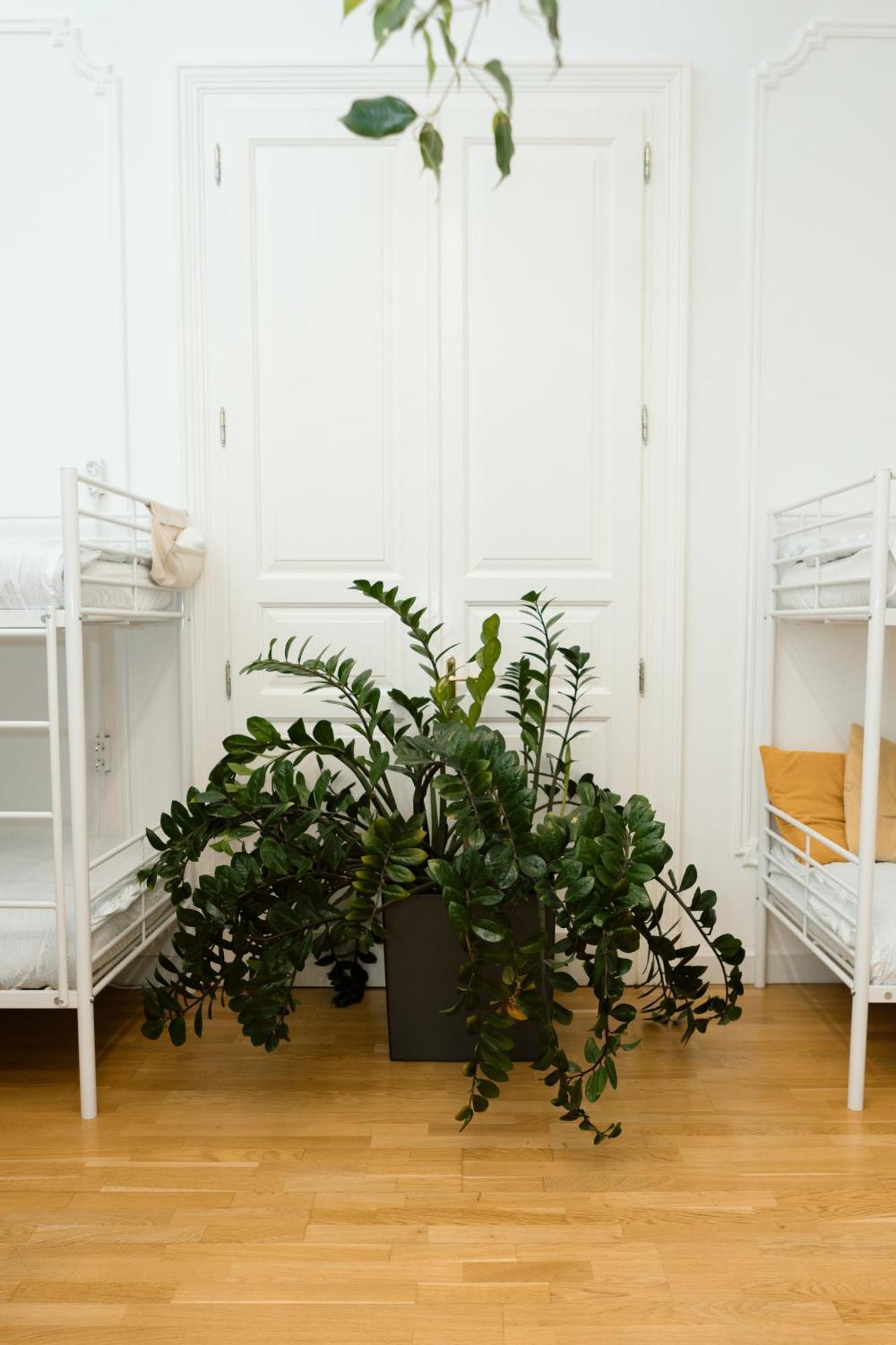 Jupiter Home Buda Budapest Bagian luar foto